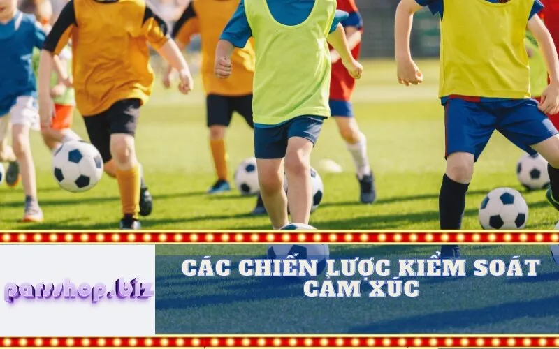 Các Chiến lược Kiểm soát Cảm xúc