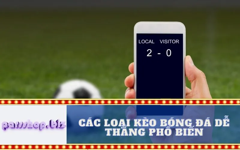 Các Loại Kèo Bóng đá Dễ Thắng Phổ biến