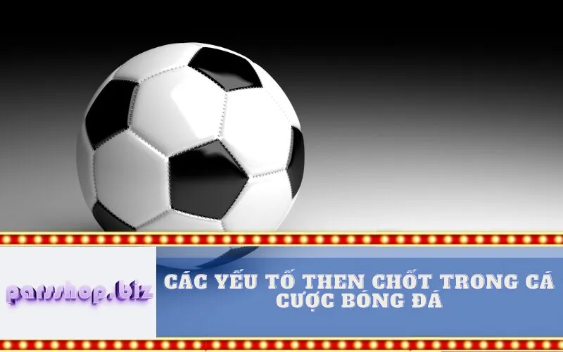 Các yếu tố then chốt trong cá cược bóng đá