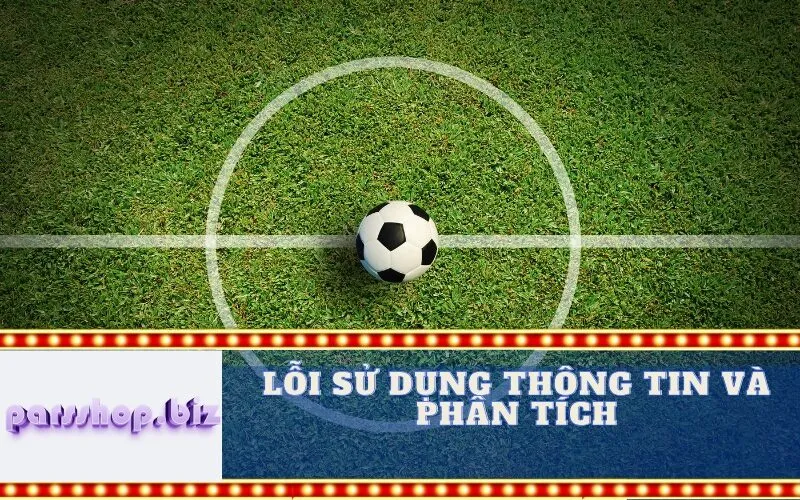 Lỗi Sử Dụng Thông Tin và Phân Tích