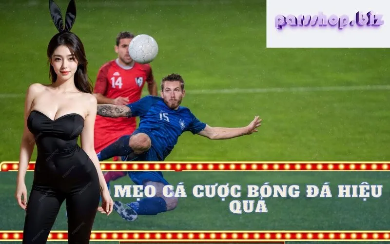 Mẹo Cá cược Bóng đá Hiệu quả