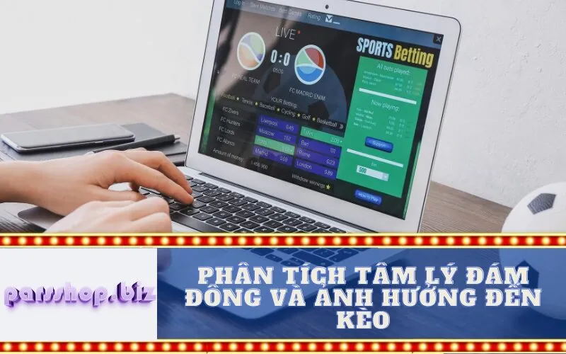 Phân tích Tâm lý Đám đông và Ảnh hưởng đến Kèo