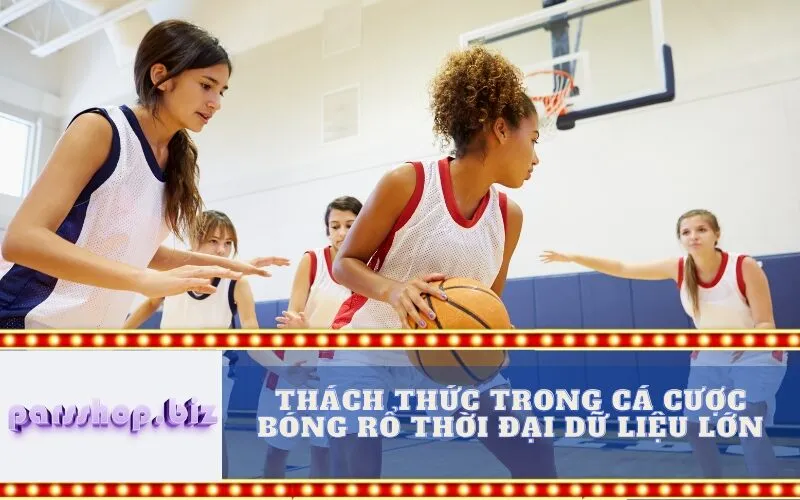 Thách Thức Trong Cá Cược Bóng Rổ Thời Đại Dữ Liệu Lớn