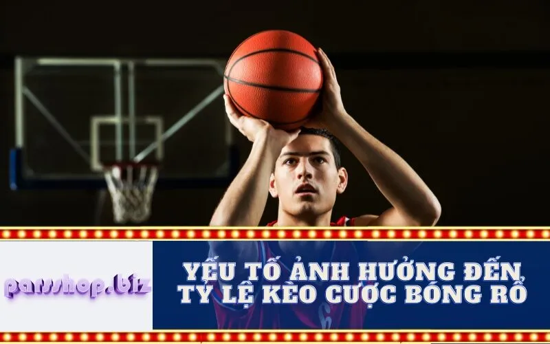 Yếu Tố Ảnh Hưởng Đến Tỷ Lệ Kèo Cược Bóng Rổ