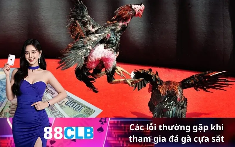 Các lỗi thường gặp khi tham gia đá gà cựa sắt