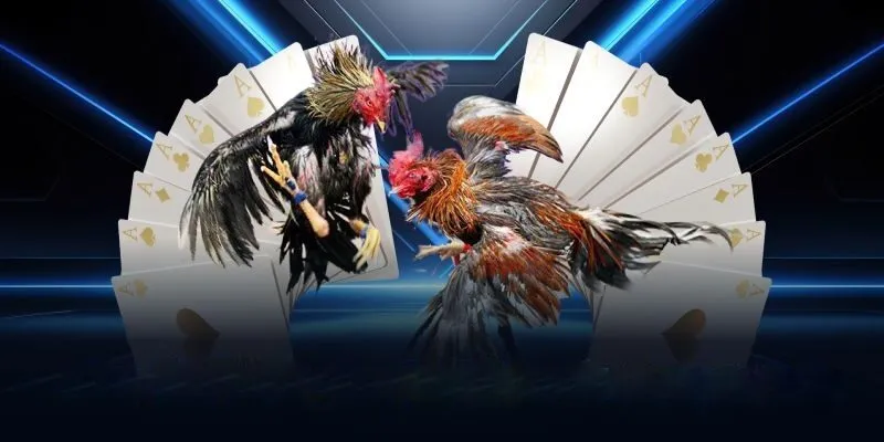 tận dụng sảnh digmaan